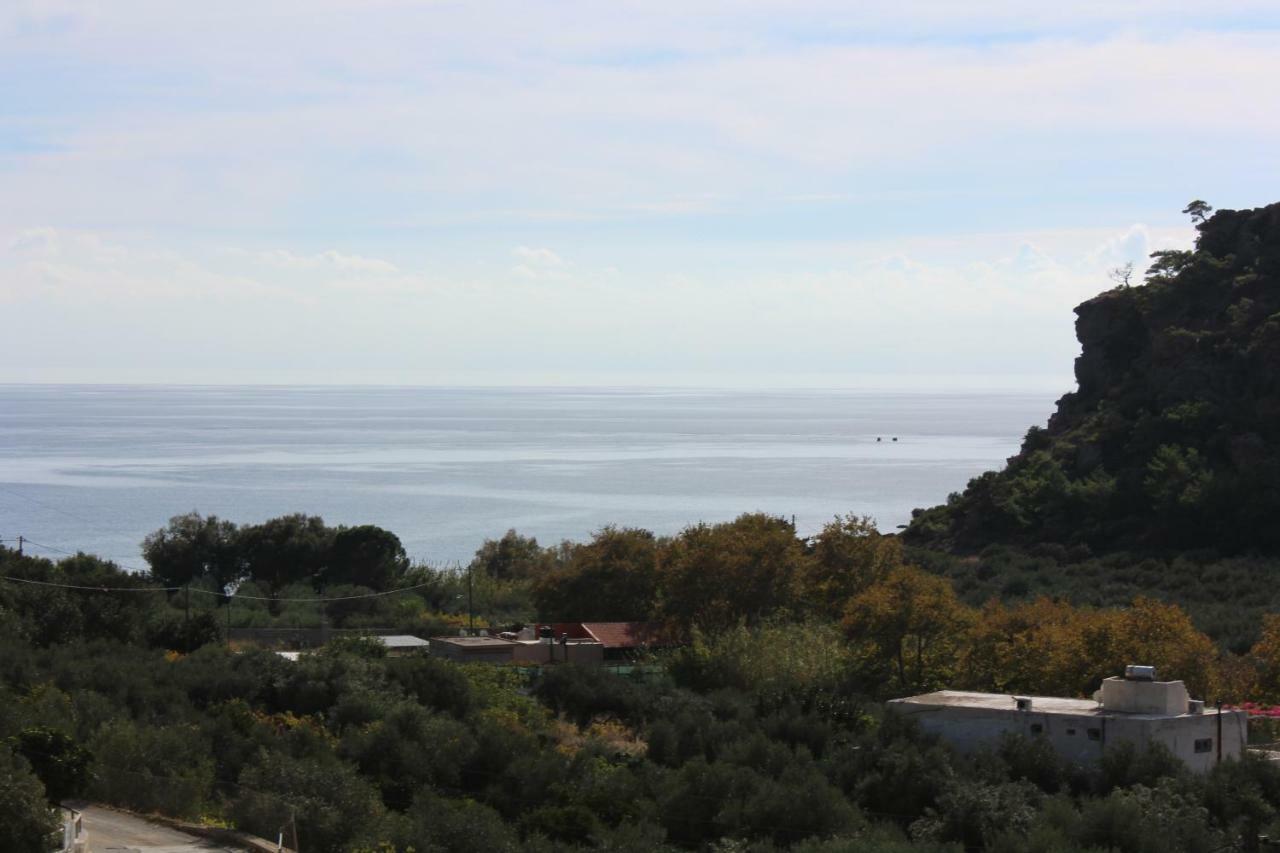Aaron Studios Apartments Agia Fotia  Exteriör bild